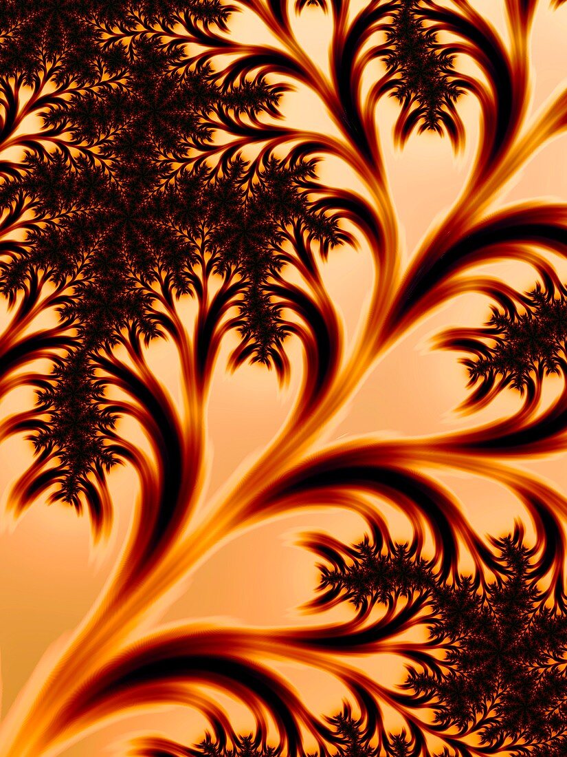 Mandelbrot fractal