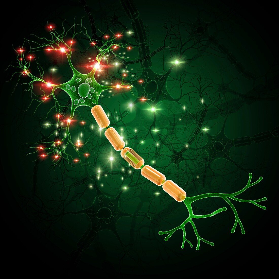 Nerve cell,artwork