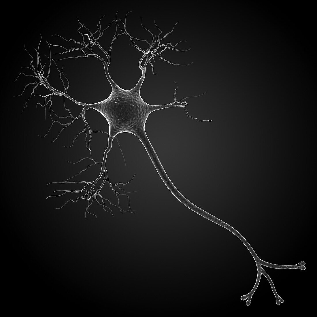 Nerve cell,artwork