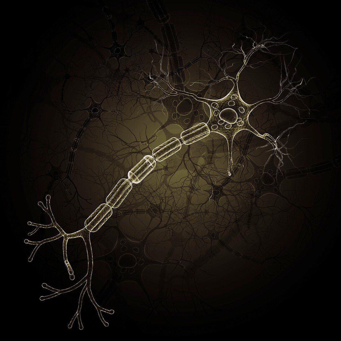 Nerve cell,artwork