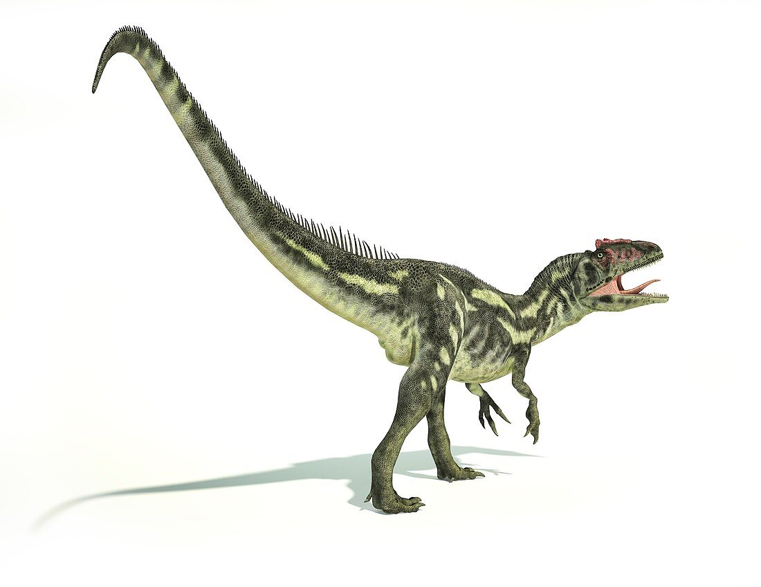 Allosaurus dinosaur,artwork