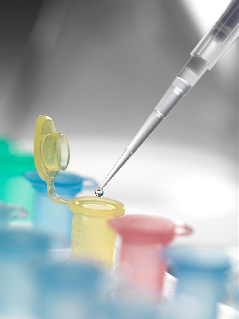 Pipette and vial