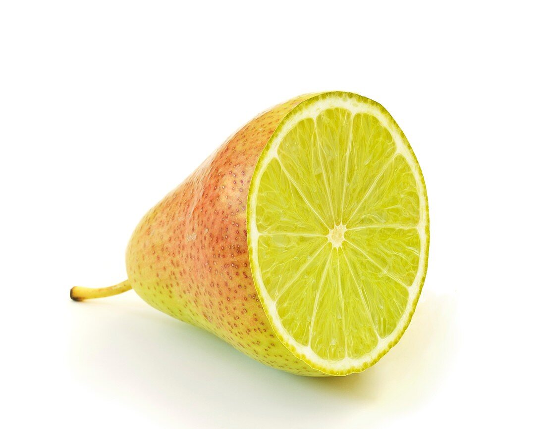 Genetically modified fruit