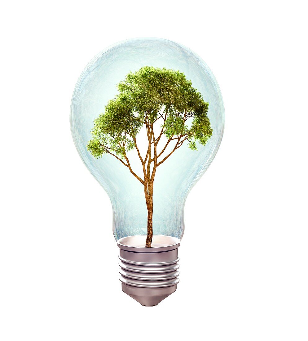 Tree inside lightbulb,artwork