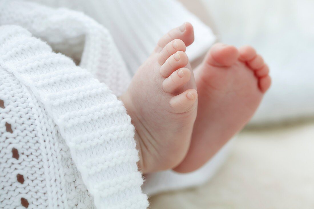 Baby boy's feet,close up
