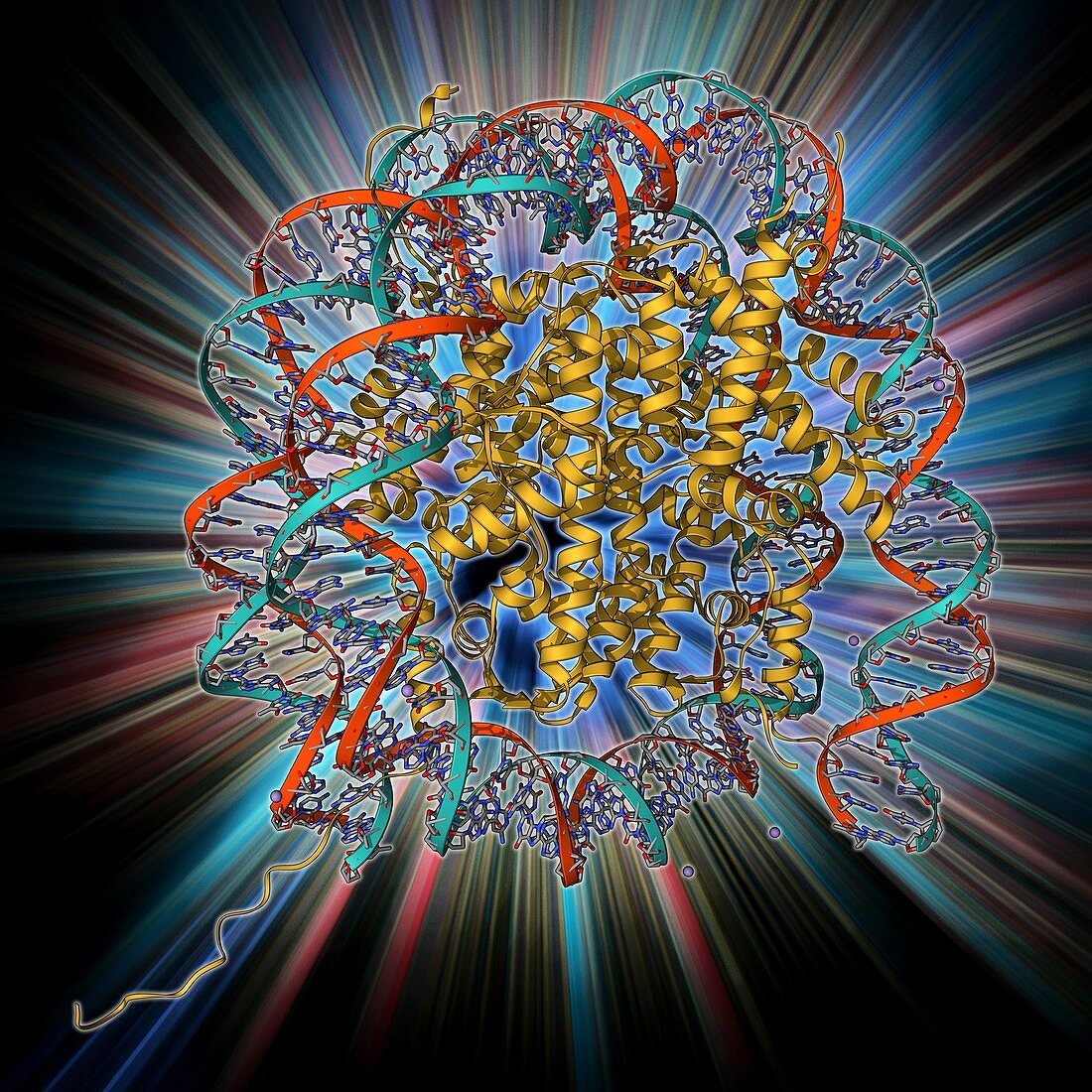 Nucleosome molecule