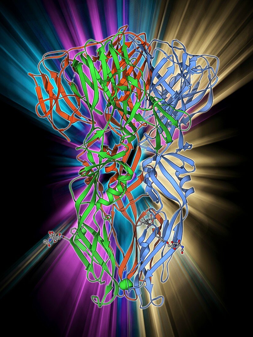 Dengue virus surface protein molecule