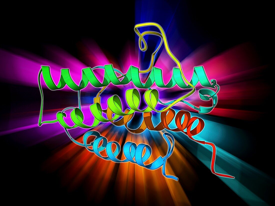 Erythropoietin hormone molecule