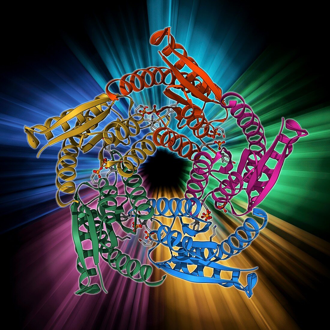 Lumazine synthase molecule