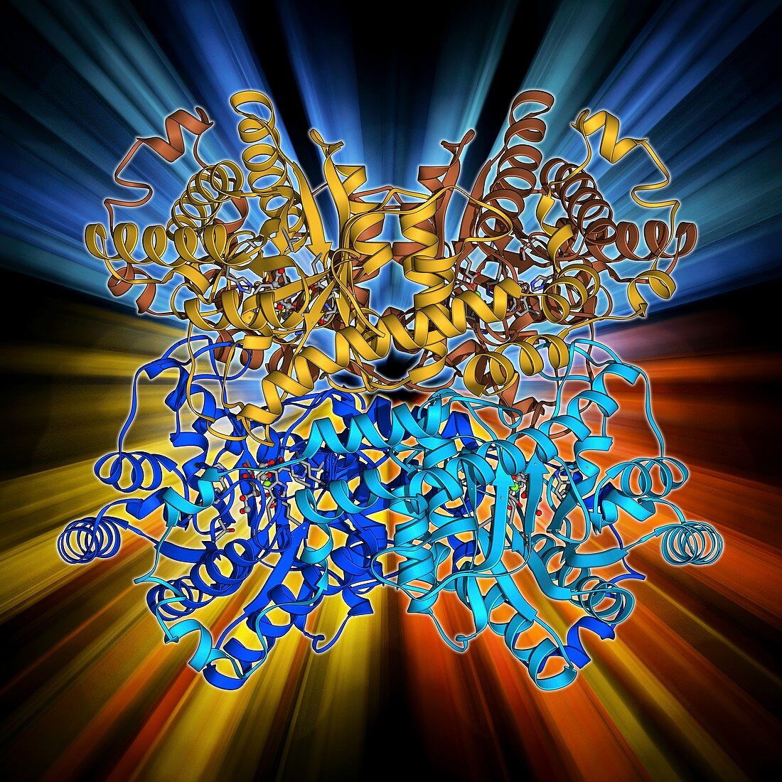 Xylose isomerase complex