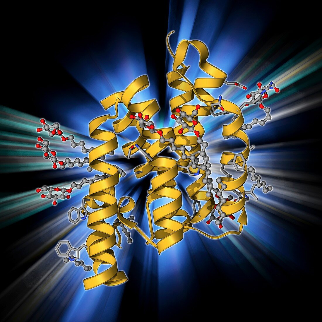 Rhomboid protease molecule