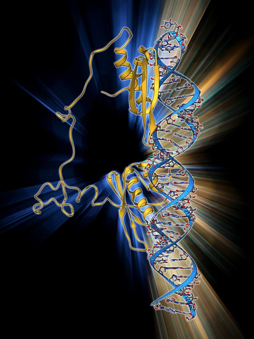 RNA editing enzyme