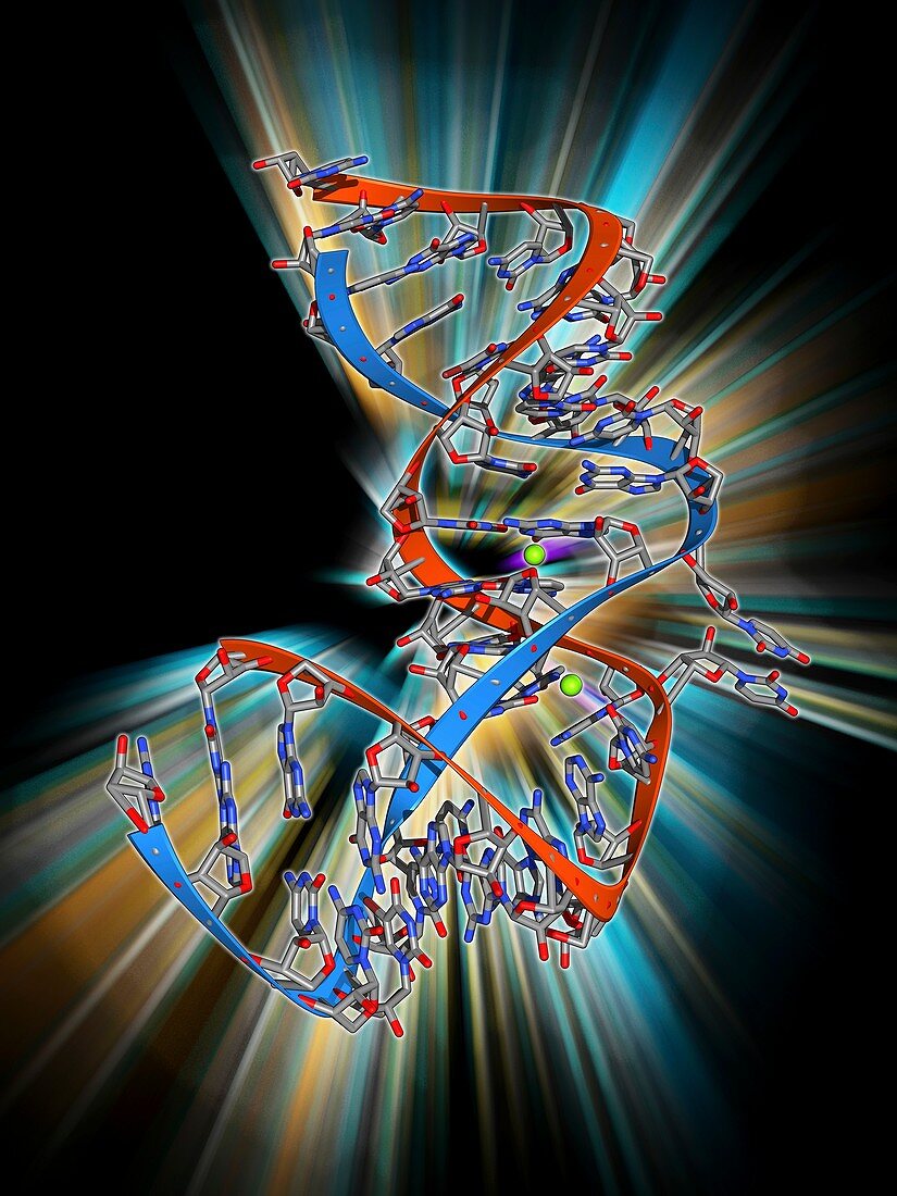 Internal ribosome entry site