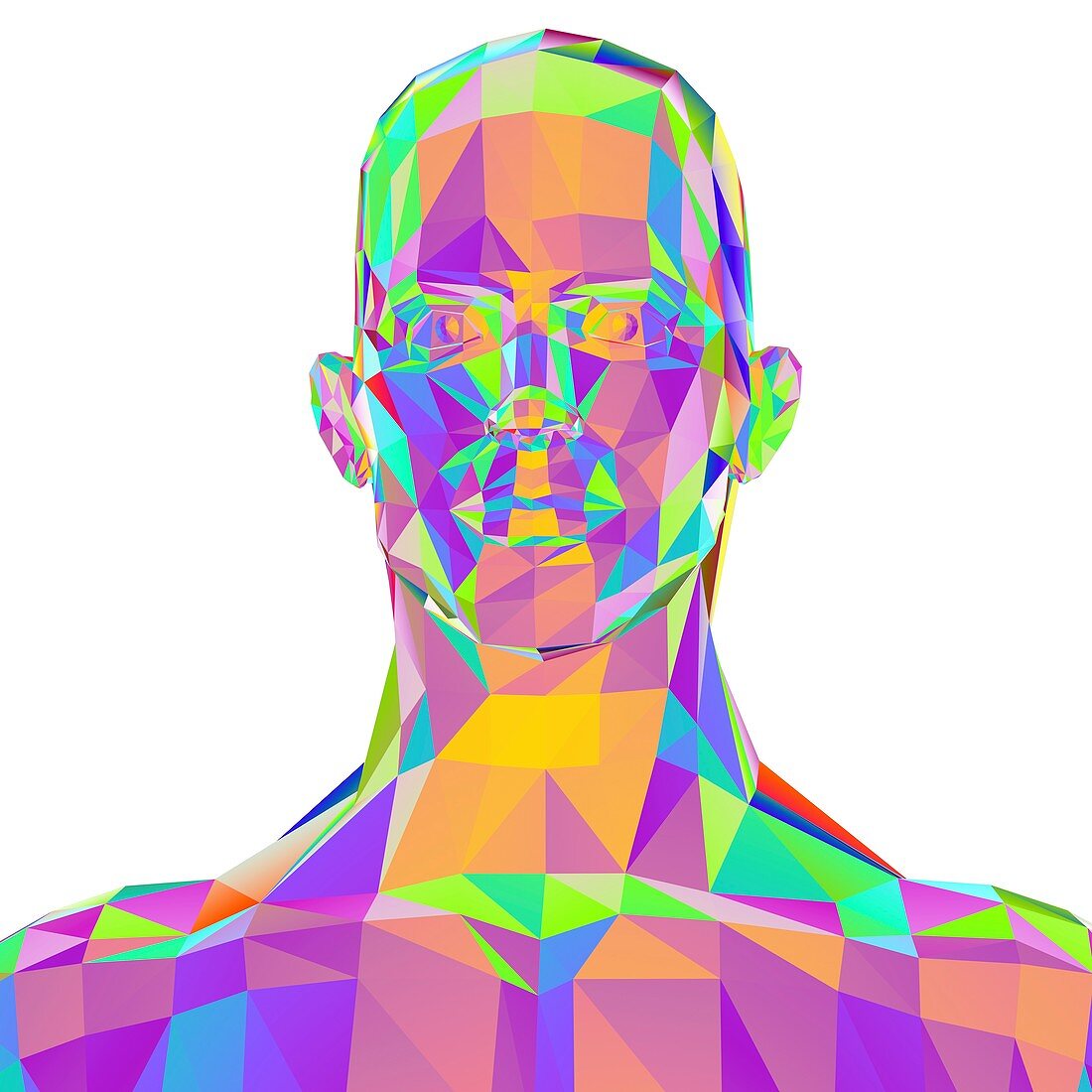 Geometric abstract polygonal male head