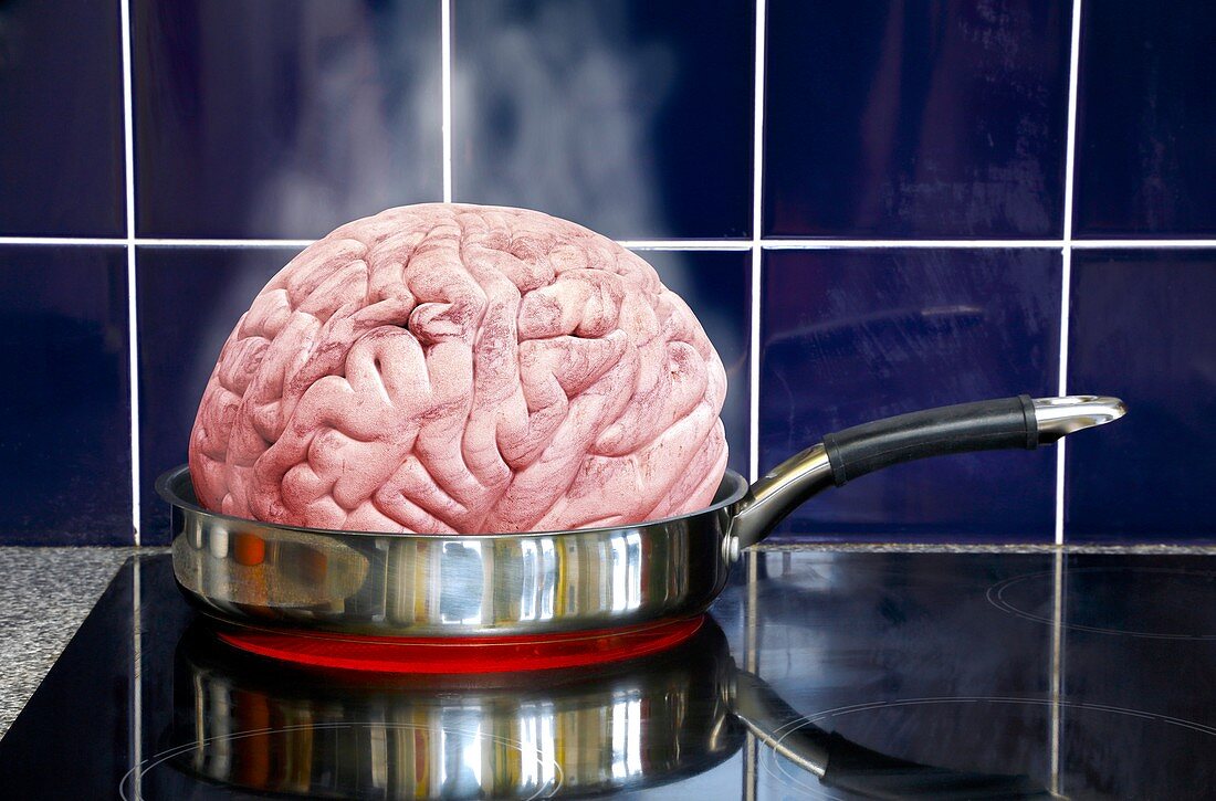 Brain in frying pan