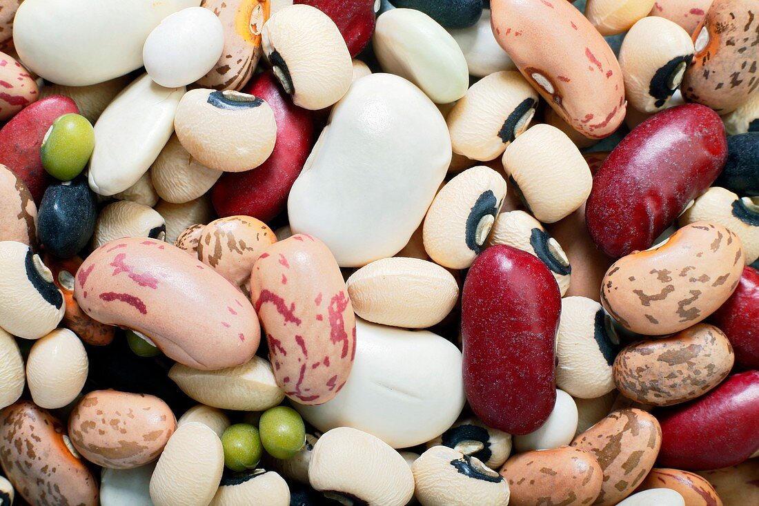 Selection of beans