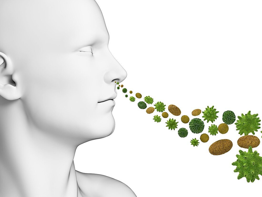 Person breathing in pollen,artwork