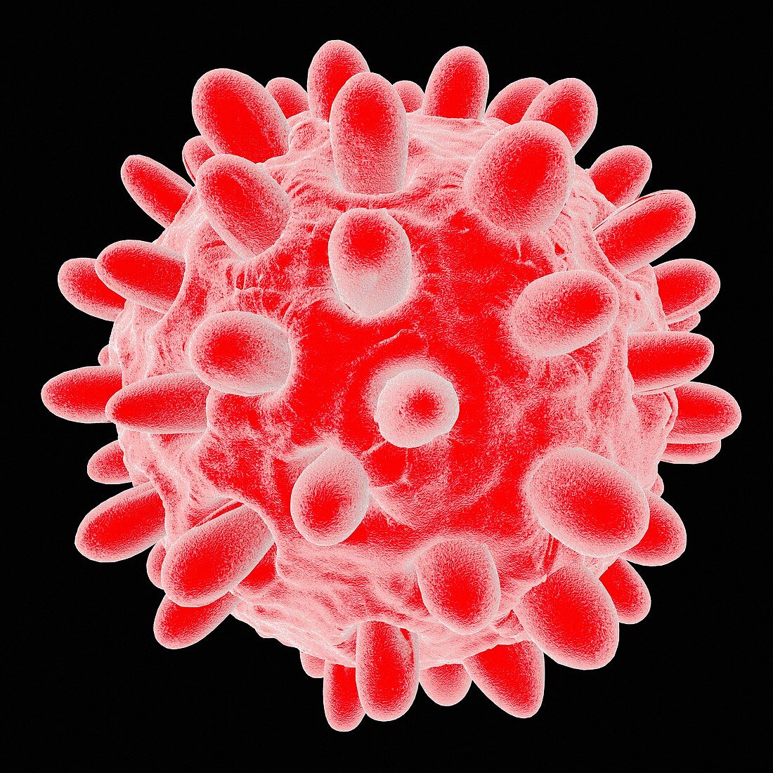 Hepatitis B,artwork – Bild Kaufen – 11799282 Science Photo Library