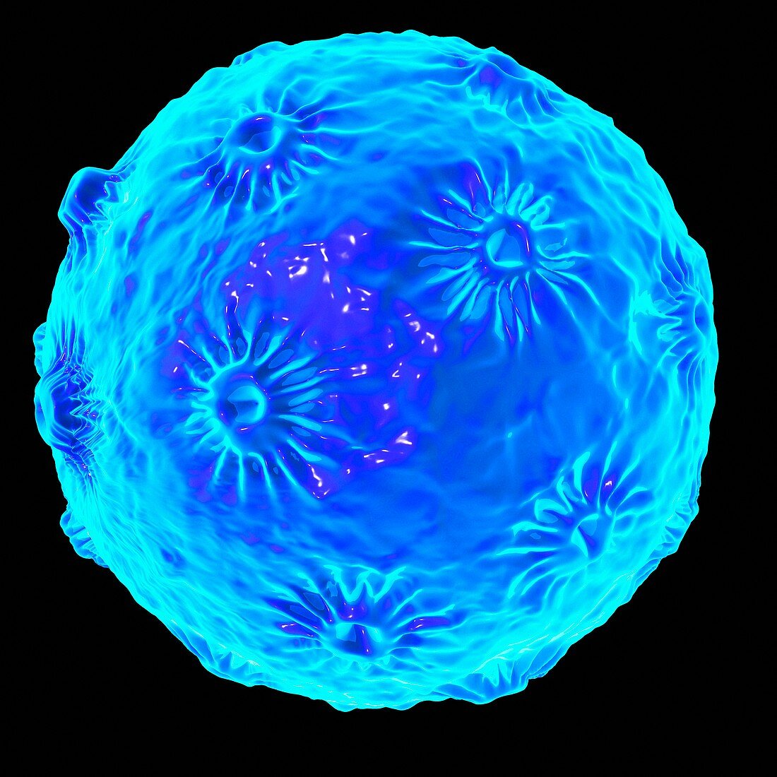 Human papillomavirus (HPV),artwork