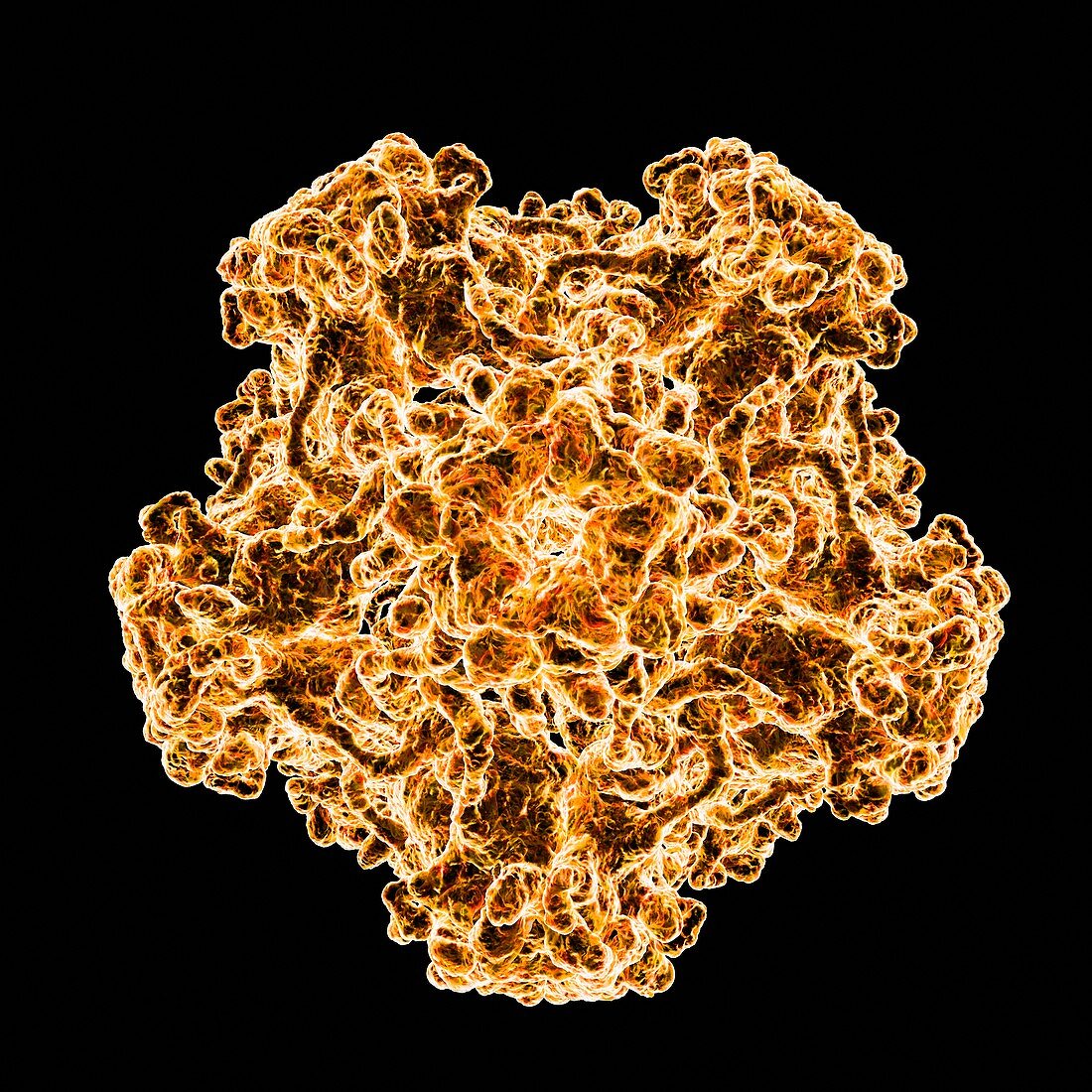 Human papillomavirus,artwork