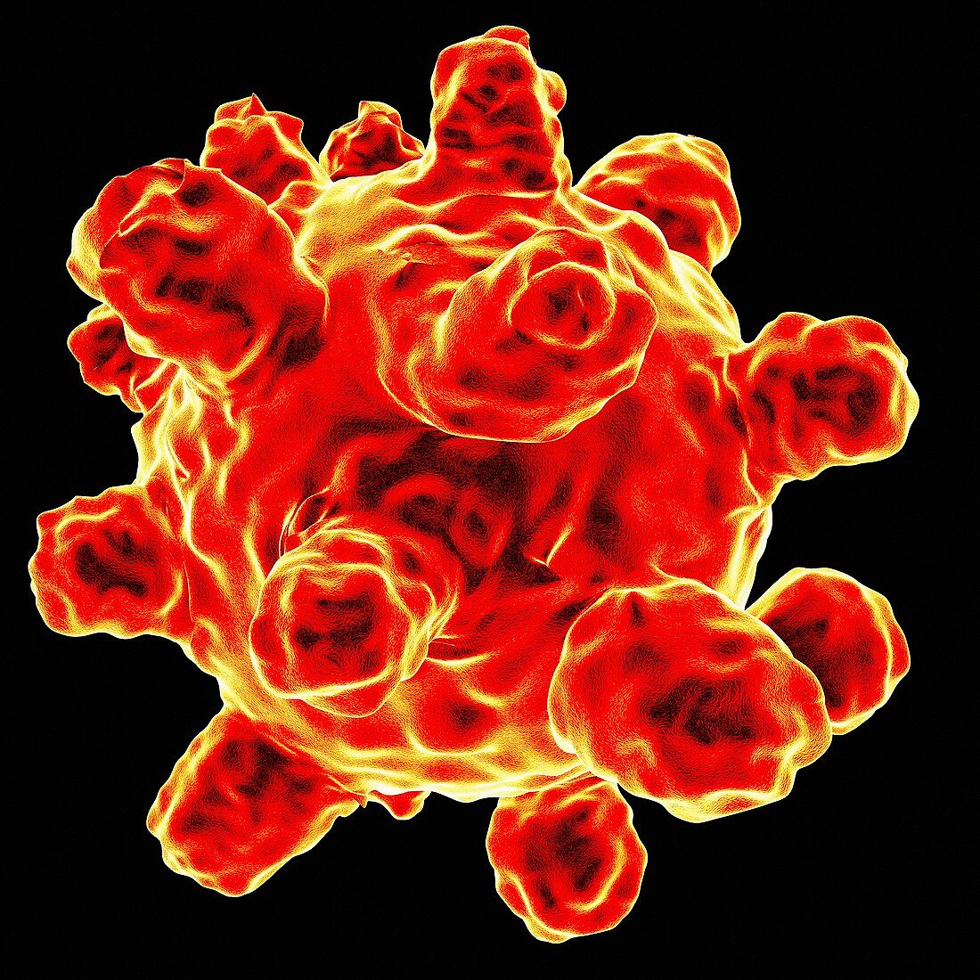 Measles virus,artwork