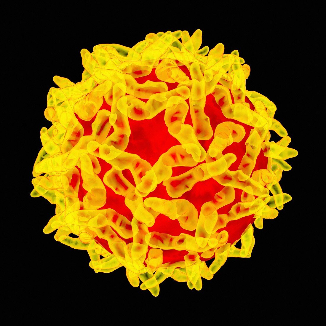 Yellow fever virus,artwork