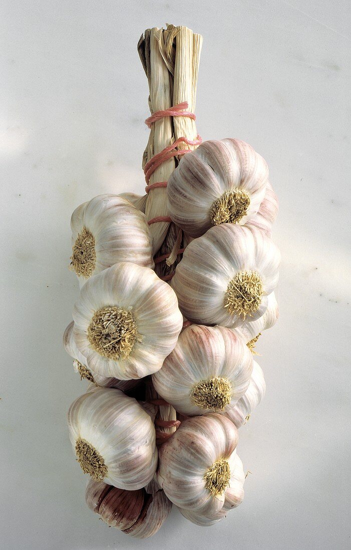 Braid of Fresh Garlic Bulbs