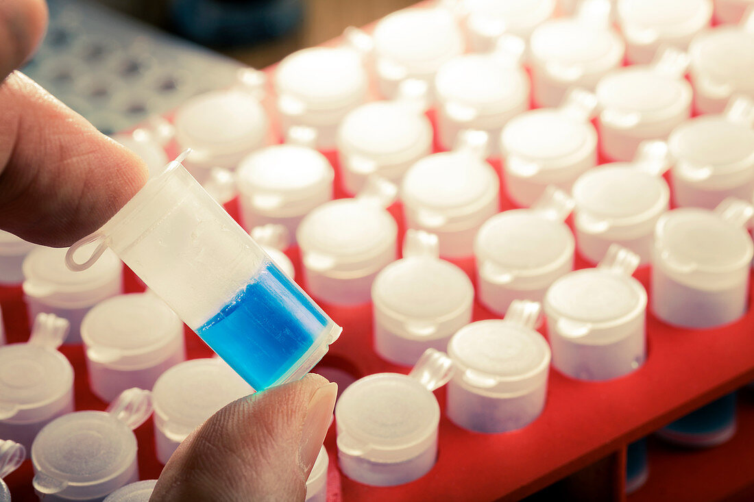 Blue water in a test tube