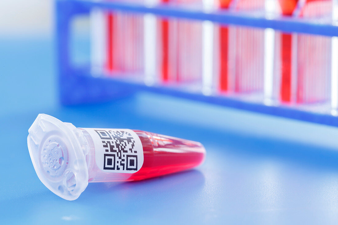 Eppendorf tube and QR code