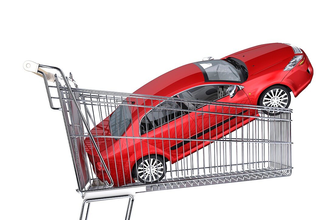 Car inside a shopping trolley,artwork