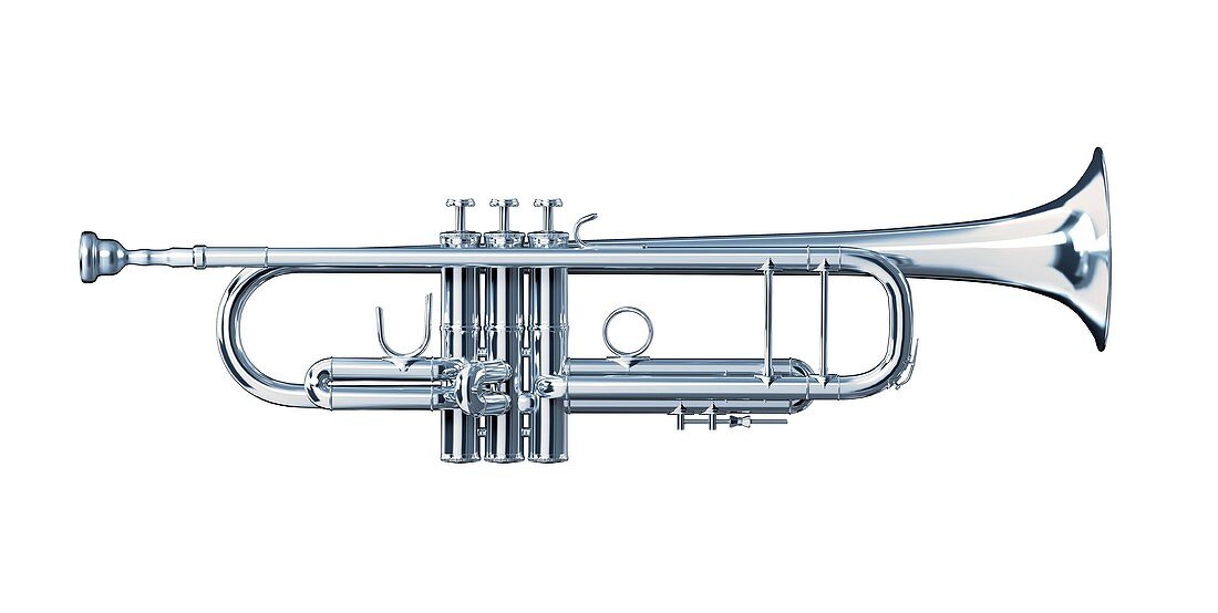 Trumpet,artwork