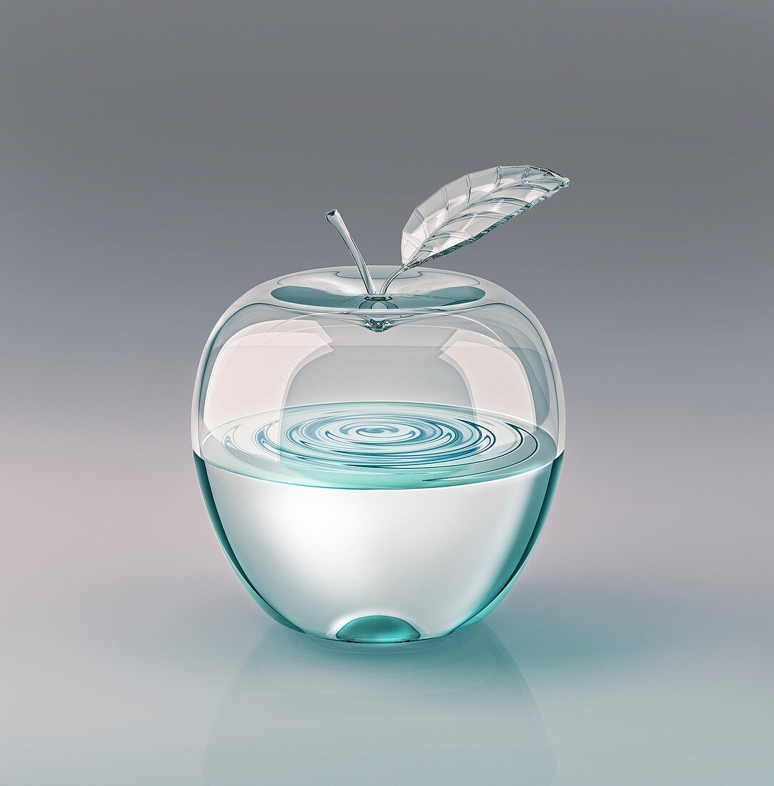 Transparent apple with water inside