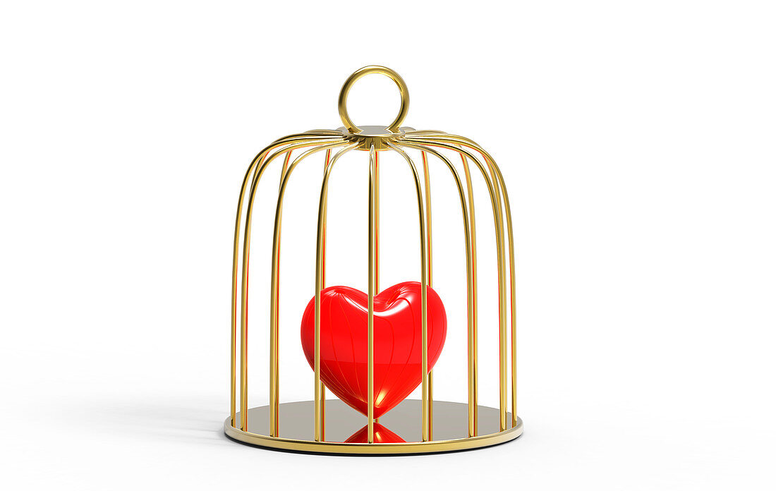 Red heart inside a bird cage