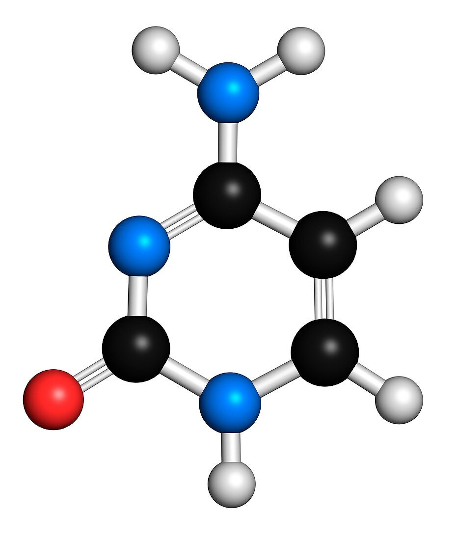 Cytosine pyrimidine nucleobase component