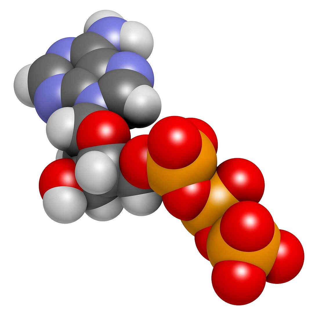 Deoxyadenosine triphosphate molecule