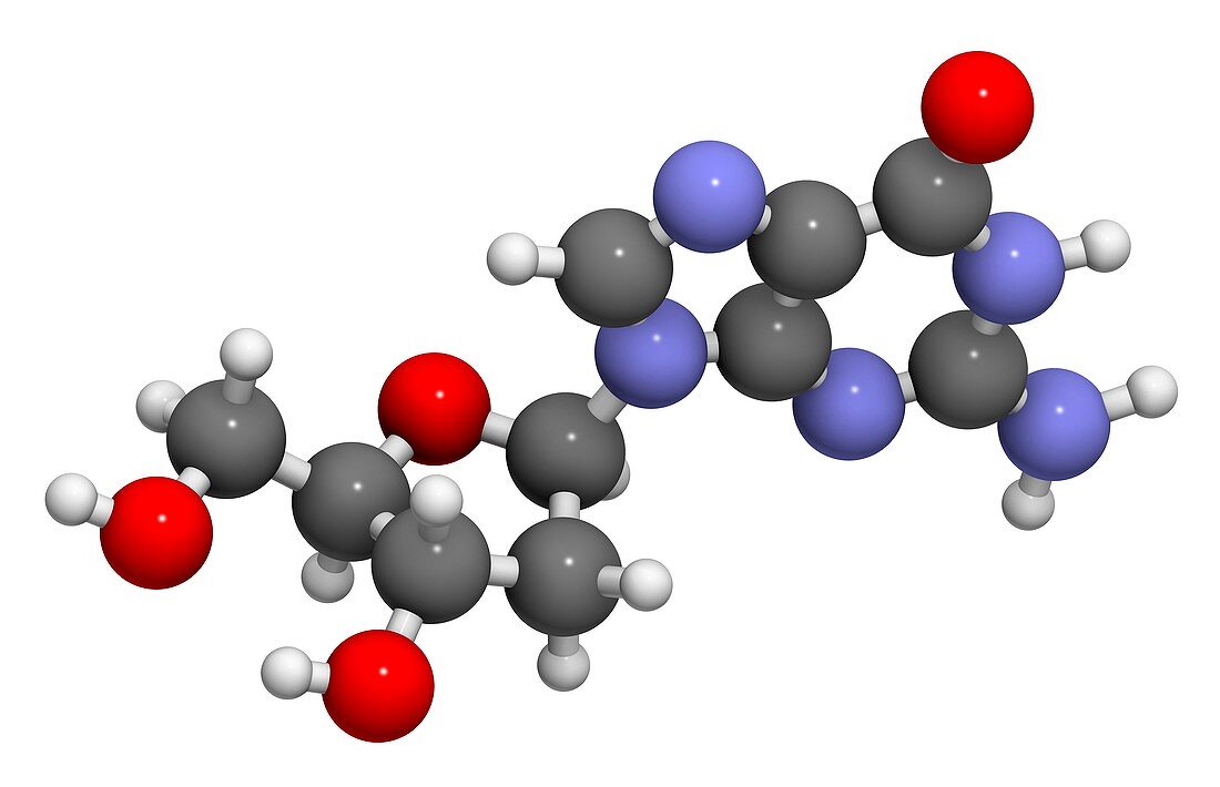 Deoxyguanosine nucleoside molecule