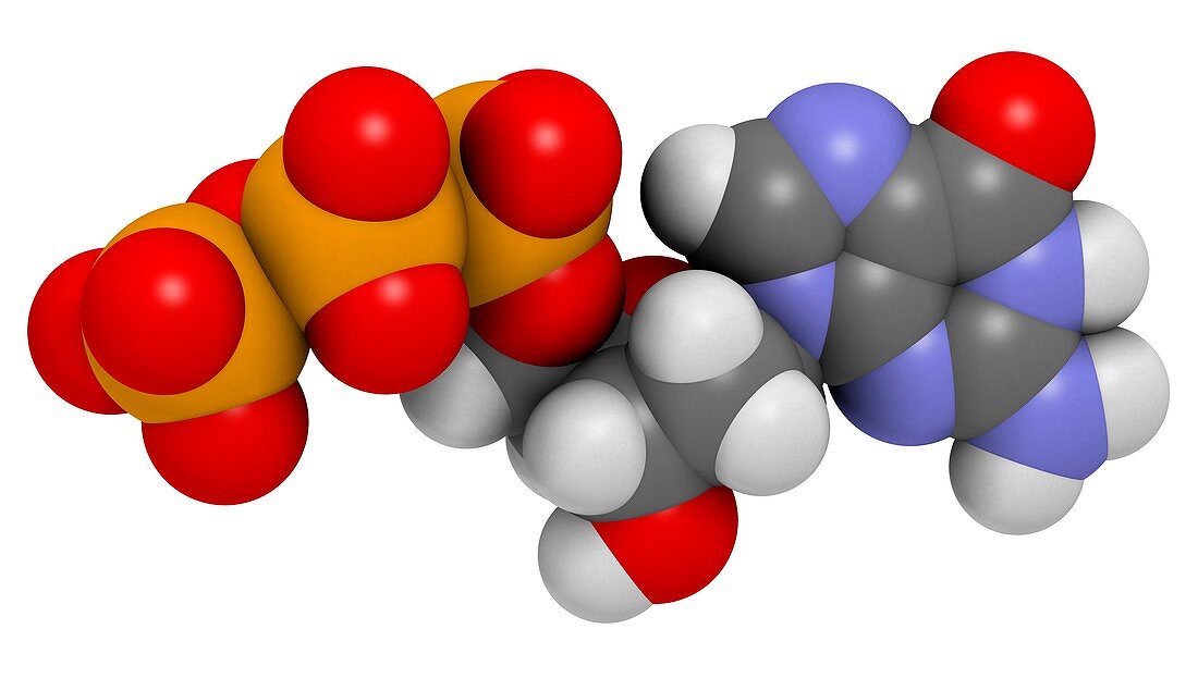 Deoxyguanosine triphosphate molecule