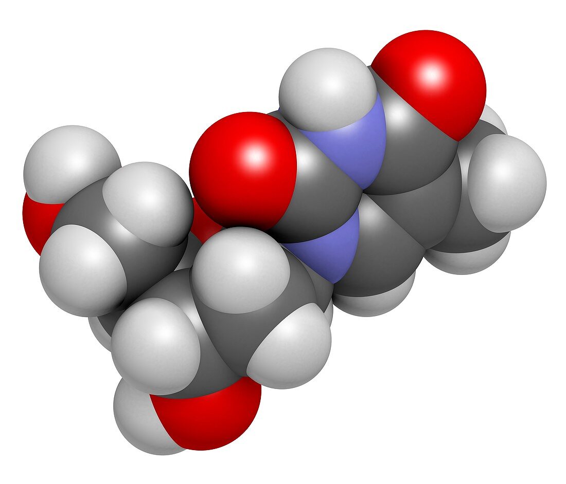 Thymidine nucleoside molecule