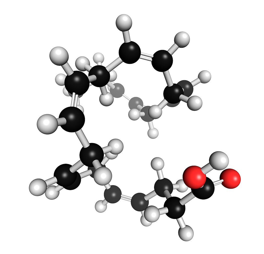 Docosahexaenoic acid