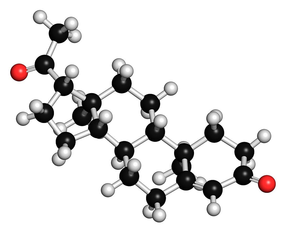 Progesterone molecule