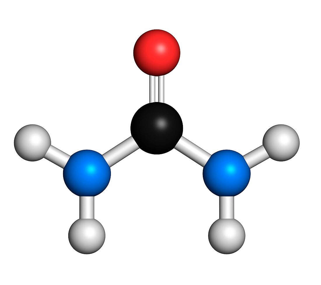 Urea molecule