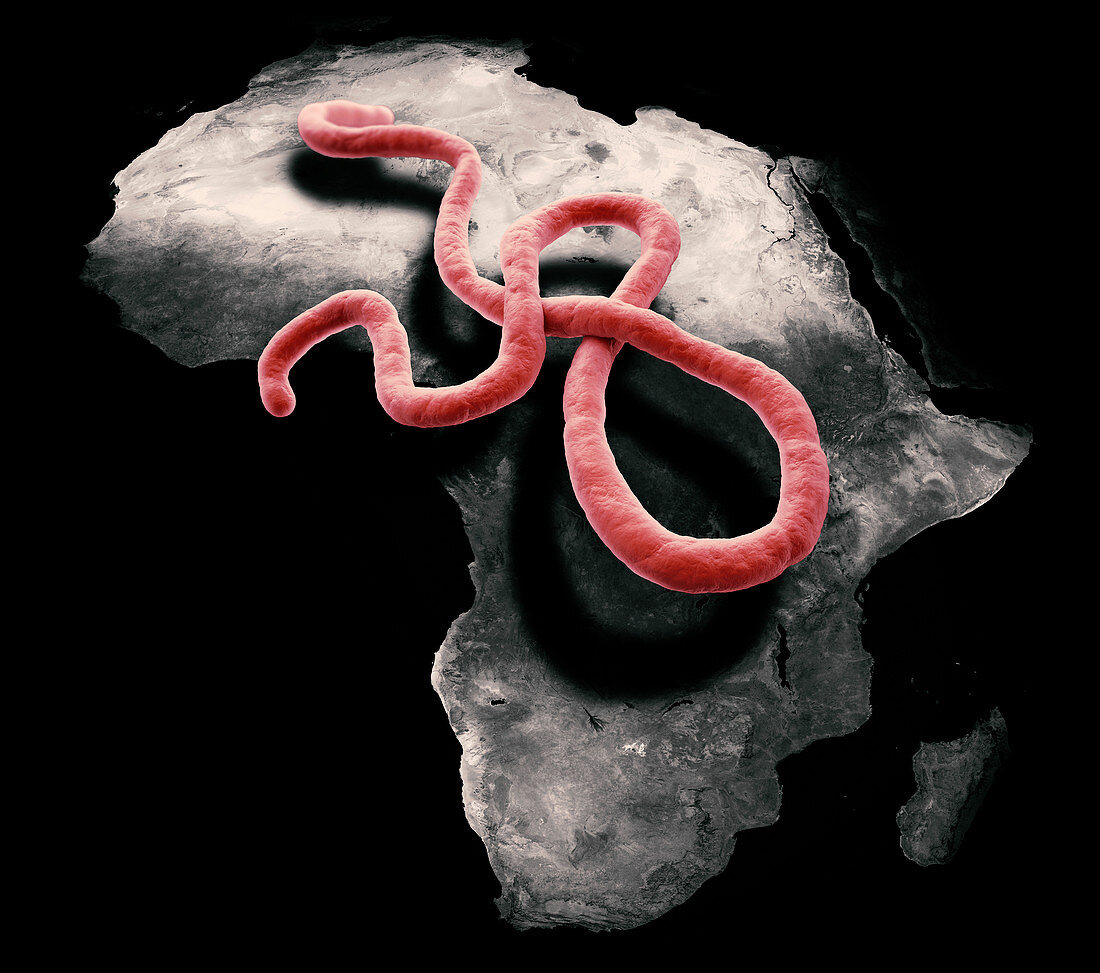 Ebola epidemic,conceptual artwork