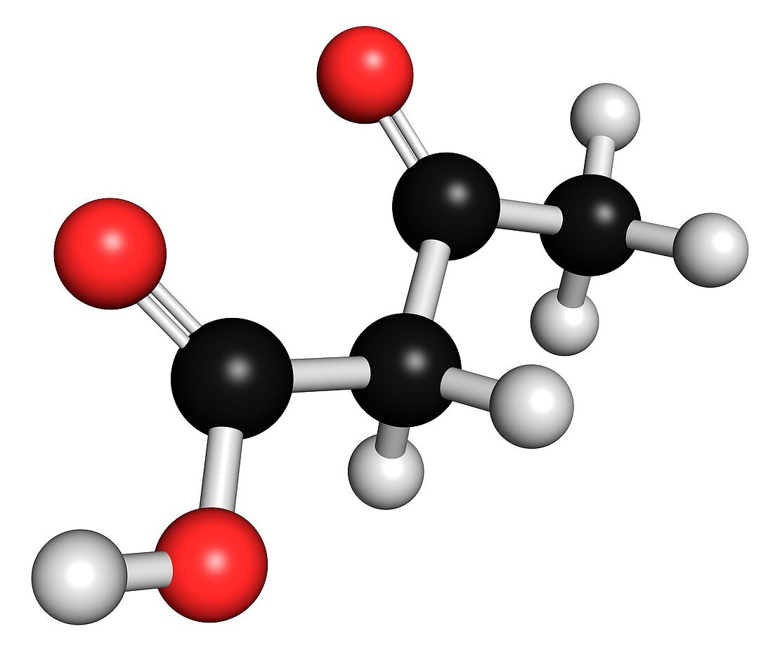 Ketone body molecule