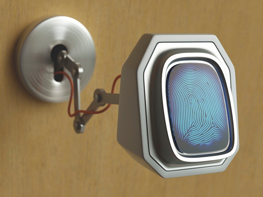 Fingerprint scanner and keyhole