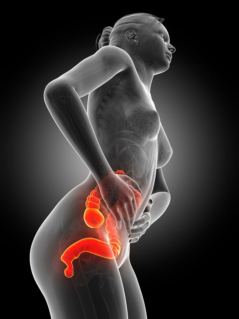 Female digestive pain,illustration
