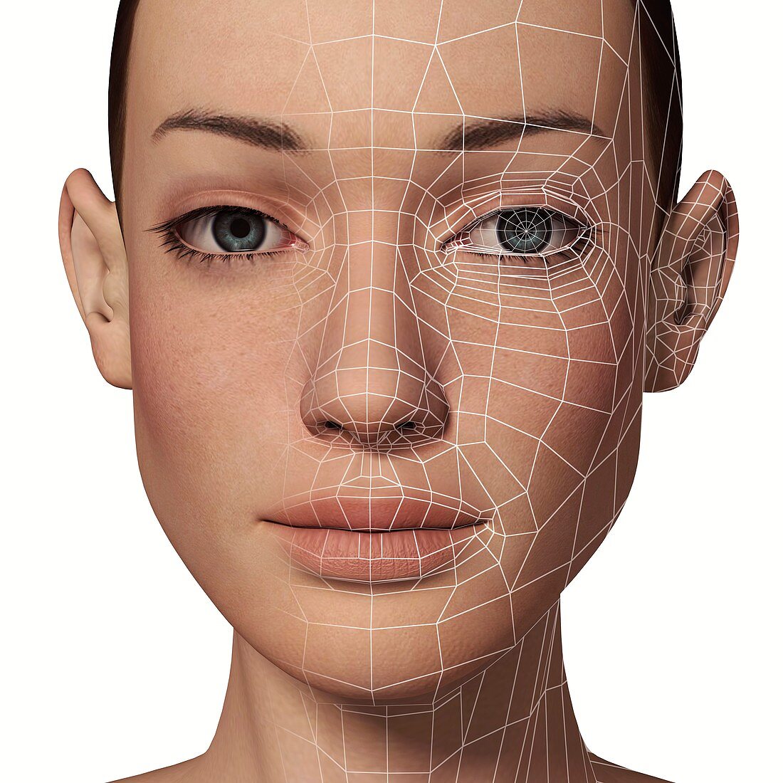 Female Head with biometric facial map