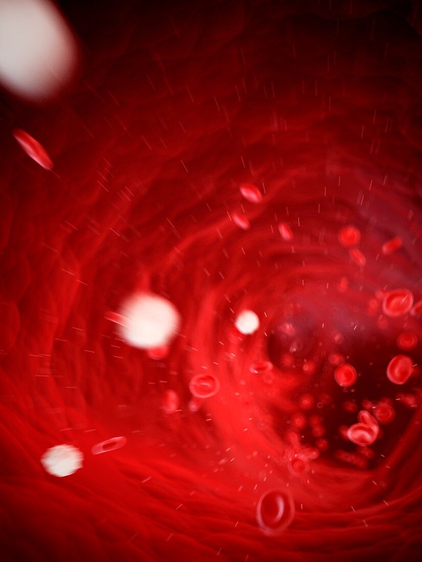 Human blood cells,illustration