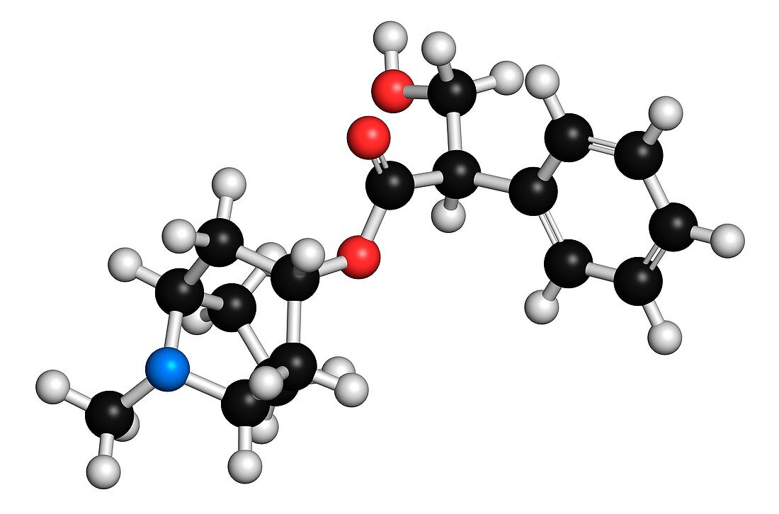Atropine alkaloid molecule