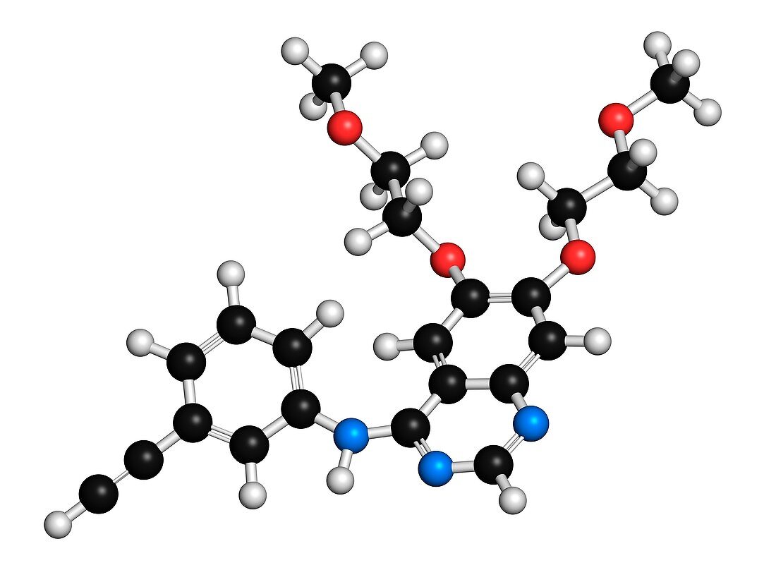 Erlotinib cancer drug molecule