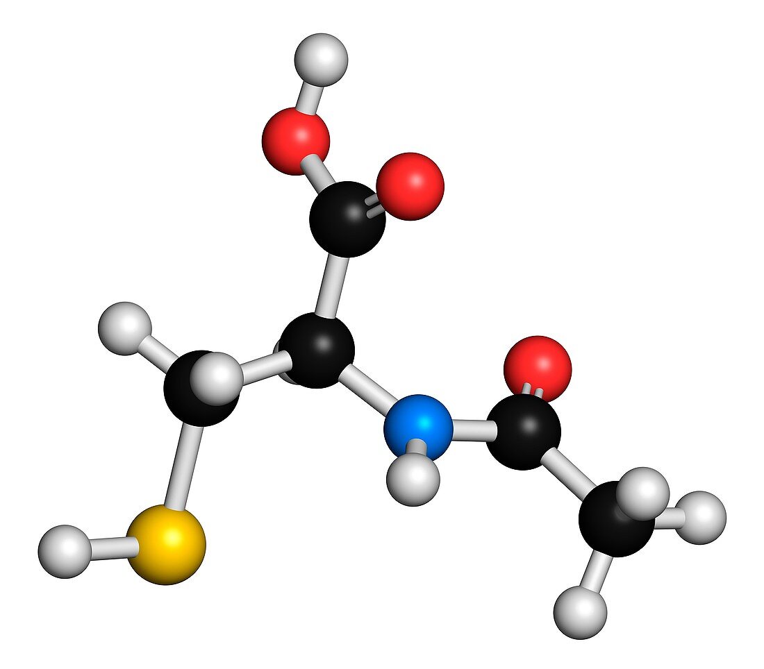 Acetylcysteine mucolytic drug molecule
